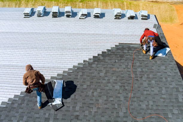 Best Metal Roofing Contractor  in Los Luceros, NM